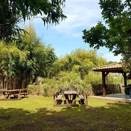 Le Marache Kamp alanı Biganos